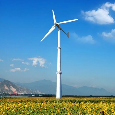 3 Fase Uitgang 10 kW Windenergie Generator voor Off Grid Wind Solar Hybrid Power System