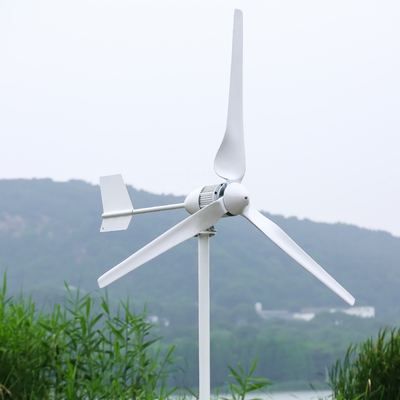 Ontwerp van 3 kW Off Grid Home Wind Power System met Pure Sinus Wave Low Frequency Inverter