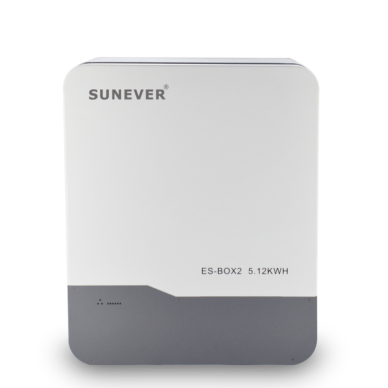 Muurbatterij 48V/51.2V 100Ah Lithium Ion met B2B-kopervriendelijke functies