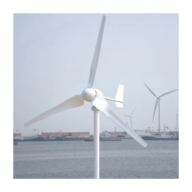 Goedkope 5KW windenergiesysteem met zuivere sinusgolfinverter en lage frequentie