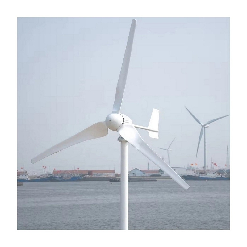 Windenergiesysteem Huishoudelijk Hybride Windmolen Generator Direct verkoop 3KW/5KW/10KW
