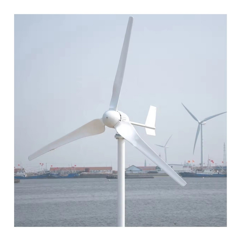 10 kW Off Grid Wind Solar Hybrid Power System met Pure Sinus Wave Low Frequency Inverter