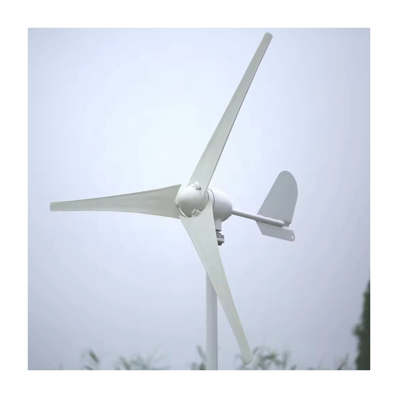48V buiten het net thuis windgenerator systeem met 3-fase wisselstroom permanente magneetgenerator