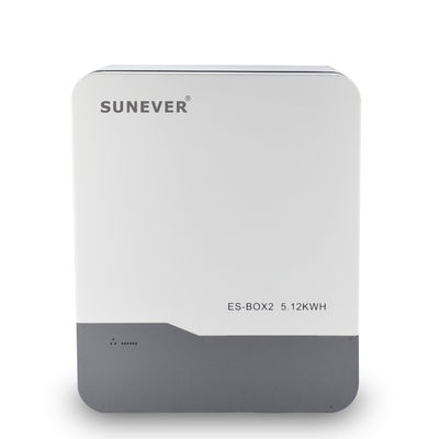 Muurbatterij 48V/51.2V 100Ah Lithium Ion met B2B-kopervriendelijke functies